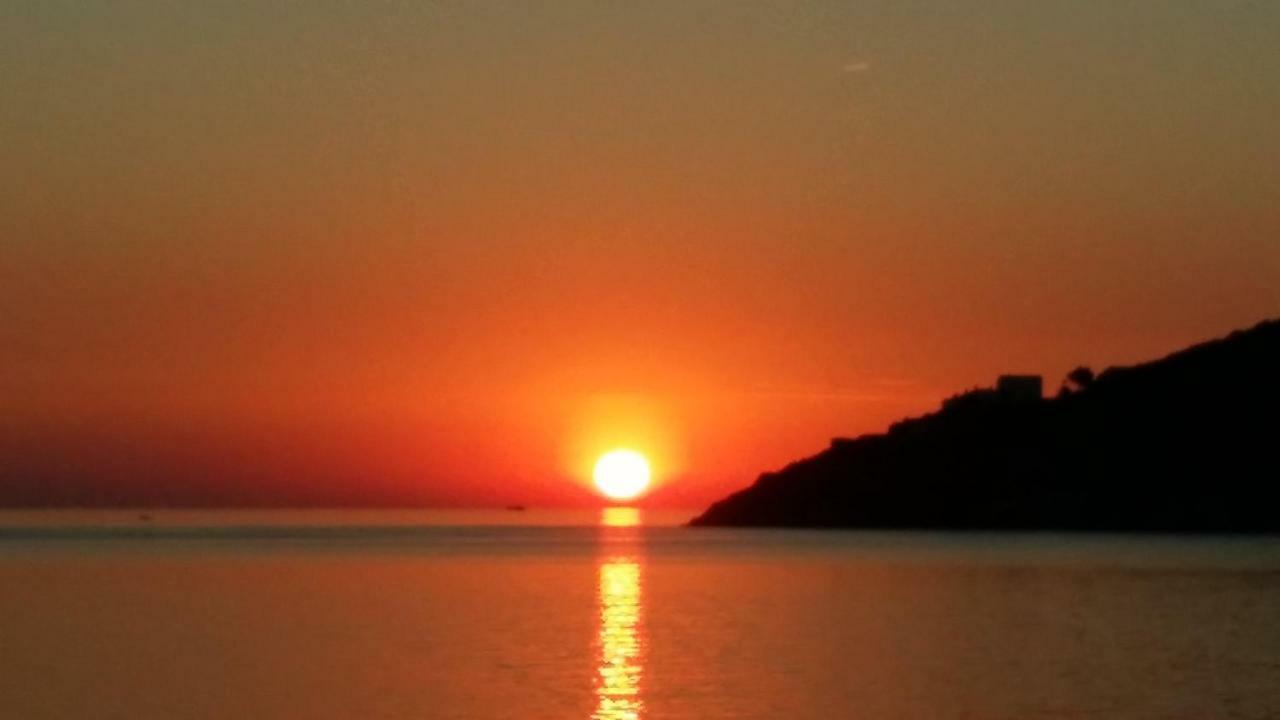 Carpe Diem Port De La Selva El Port De La Selva 外观 照片